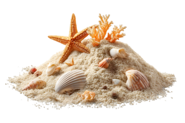 A small pile of light-colored beach sand adorned with a vibrant orange starfish, various seashells, and coral pieces, isolated on a white background.