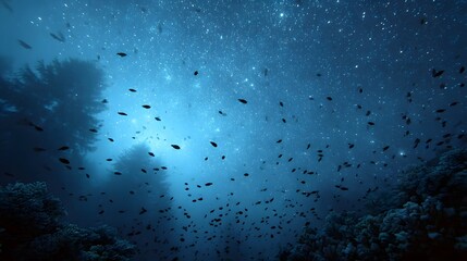 Fototapeta premium A surreal underwater scene with a dense school of fish swimming beneath a starry night sky illusion