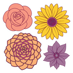 Rose sunflower marigold dahlia flowers 