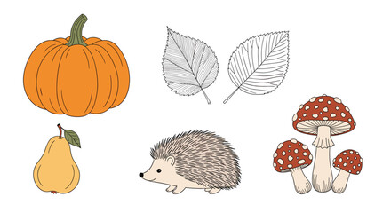 Autumn-themed illustrations including a pumpkin, pear, hedgehog, amanita mushrooms, and leaf sketches for seasonal harvest design.