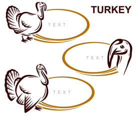 Fitness and bodybuilding icon set. Collection icon fitness. Vector 