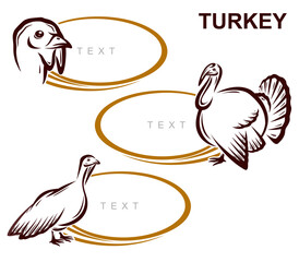 Turkey labels and icon set. Collection icons turkey. Vector