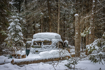 An old, abandoned truck is sitting in a pine forest covered in snow in the winter. There is a feeling not only of beauty but also of mystery as to why the truck ended up in the middle of a forest.