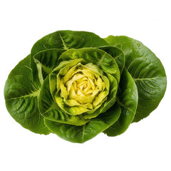 Obraz premium Fresh lettuce leaf isolated on transparent background