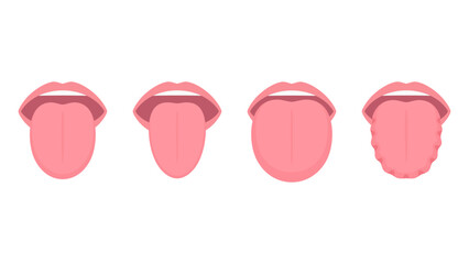舌の大きさと形のイラスト
