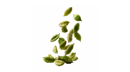 A vibrant collection of fresh green cardamom pods captured dynamically against a dark background