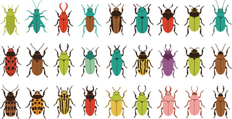 Colorful beetle insect illustration set with different species patterns and shapes isolated on white background vector © Kharshad Creative
