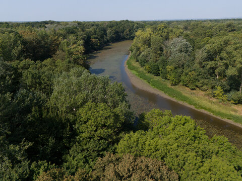 Aerial view of the meandering river reflects the sky, embraced by the dense green forest along the Oxbow lake of the Morava River, Vysoka pri Morave, Bratislava Region, Slovakia.