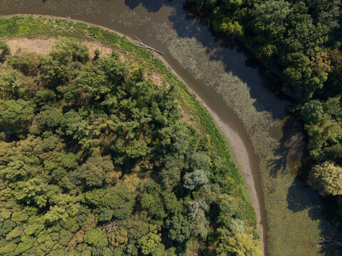 Aerial view of the Morava River's oxbow lake framed by dense, verdant forests, showcasing nature's artistry from above, Vysoka pri Morave, Bratislava Region, Slovakia.
