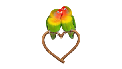 Two colorful Lovebirds perched on a natural twig heart shape isolated PNG with Transparent Background