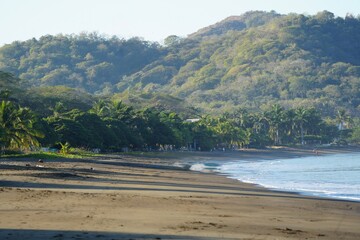 jungle near playa pontrero, guancaste, costa rica, jungle green lush wallpaper background - costa rica tourism - pacific