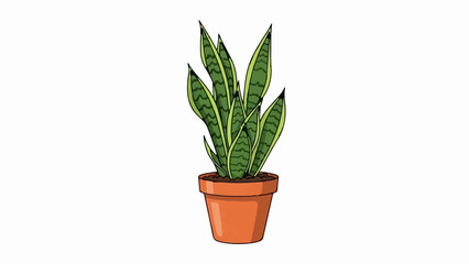 Obraz premium Tall green-striped leaves emerge from a terracotta pot