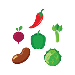 A colorful collection of fresh and healthy vegetables including pepper, radish, bean, celery, and cabbage vector illustration