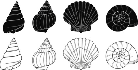 Seashell icon set with various ocean shells including scallop and spiral snail in black silhouette and linear outline for beach © Khairun