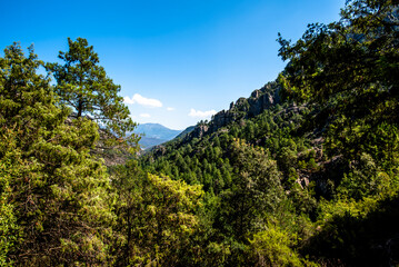 2024 08 30 corsica landscape 8.jpg