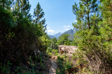 2024 08 30 corsica landscape 21.jpg