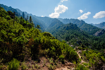 2024 08 30 corsica landscape 24.jpg