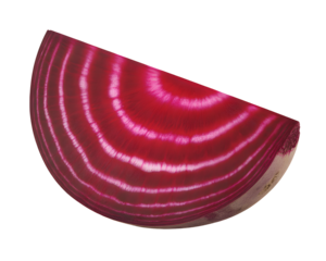 Beetroot Half Cross Section Reveals Vibrant Red Concentric Rings Texture Closeup View on transparent background