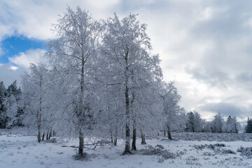 Winterliche Grindefl&auml;chen im Nationalpark Schwarzwald