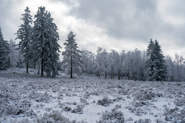 Winterliche Grindefl&auml;chen im Nationalpark Schwarzwald