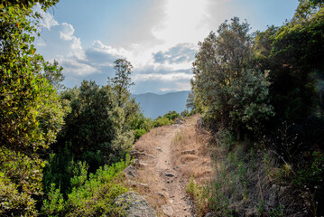 2024 08 30 corsica landscape 38.jpg