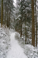 Winter im Schwarzwald