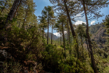 2024 08 30 corsica landscape 45.jpg