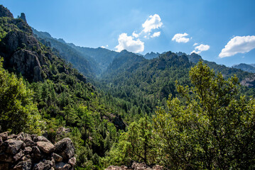 2024 08 30 corsica landscape 44.jpg