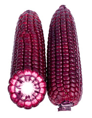Purple Corn Cobs Whole and Sliced Isolated on White Background
