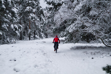 Naturschutzgebiet Fischbeker Heide im Winter 