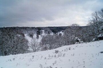 Naturschutzgebiet Fischbeker Heide im Winter 