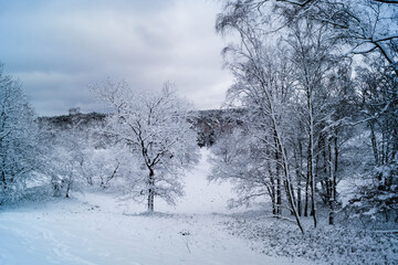 Naturschutzgebiet Fischbeker Heide im Winter 