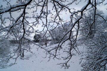 Naturschutzgebiet Fischbeker Heide im Winter 