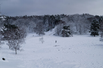 Naturschutzgebiet Fischbeker Heide im Winter 
