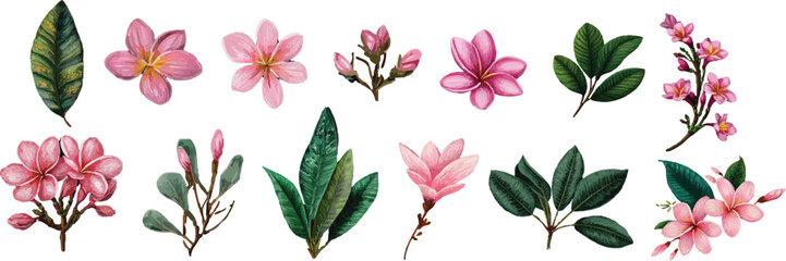 set of pink tulips vector