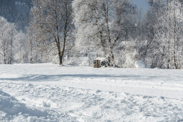 Winterwanderweg mit Brennholzstapel und verschneiten B&auml;umen im Hintergrund