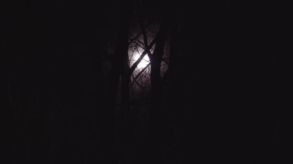 Panning through a pitch-black forest at night. The bright, glowing full moon is obscured behind the dark, leafless silhouettes of tree branches, casting an eerie atmospheric light. High contrast scene - Powered by Adobe