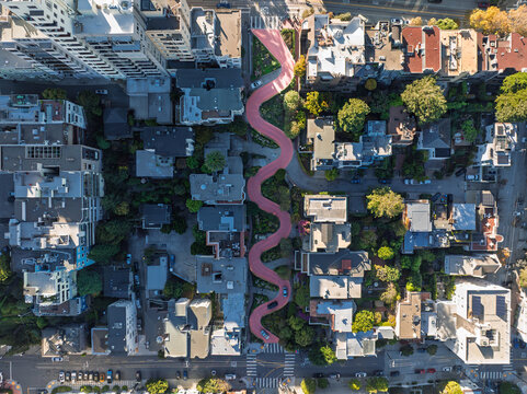 Aerial view of the winding Lombard Street cutting a sinuous red path through the dense urban tapestry of buildings and trees, San Francisco, California, United States.