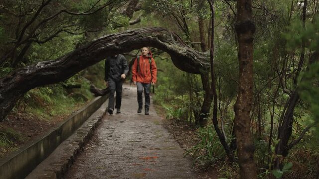 A static shot on the PR6 Levada das 25 Fontes / Levada do Risco trail in Madeira during rainfall. The camera is positioned along a narrow levada path with the water channel visible beside the trail. 
