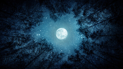 Beautiful night sky, the Milky Way, moon and the trees. Elements of this image furnished by NASA. © Tryfonov