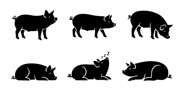 Collection of black pig silhouettes showcasing various farm animal poses and behaviors