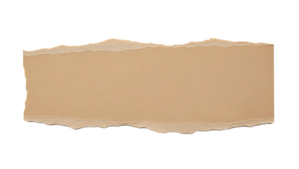 Torn brown paper texture isolated on white background for design and creative use