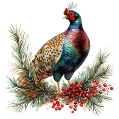 Vibrant Pheasant with Berries on Transparent Background