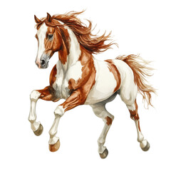 Galloping Paint Horse Illustration on Transparent Background