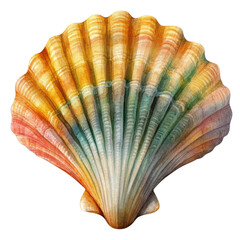 Colorful Scallop Shell on Transparent Background