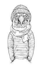 Hipster Bird in Beanie and Glasses Line Art Illustration