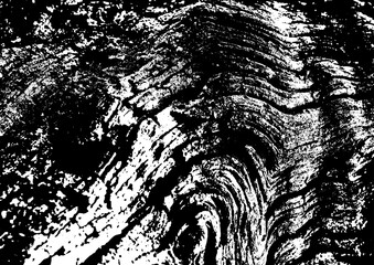 Large vector tree bark texture with a transparent background