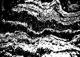 Large vector tree bark texture with a transparent background