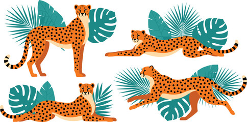 Set of cheetah poses with tropical leaves in flat vector style for nature, wildlife, and jungle designs © Momota