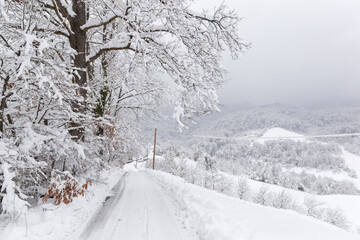 Snowy country road on a cloudy winter day in a mountainous area.